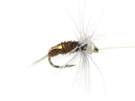 Rienz Premium BI Cinamon