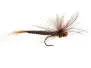 Brown May Fly