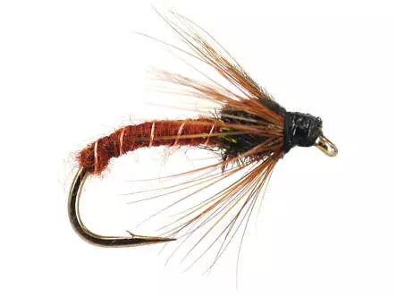 Brown Ripped Clasic Nymph