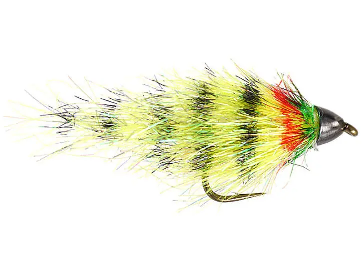Petras Yellow Striped Body
