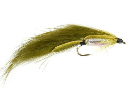 Olive Zonker
