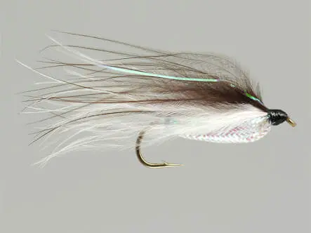 Rickards Shiner Minnow - Brown