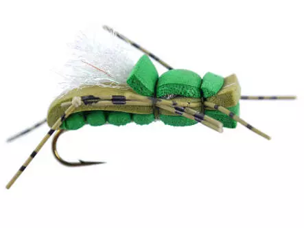 Rat Alber Olive