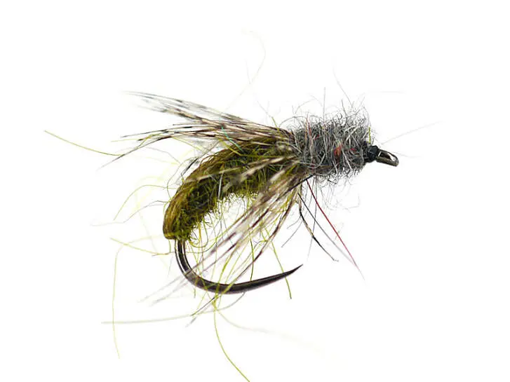 Olive Caddis Pupa BL
