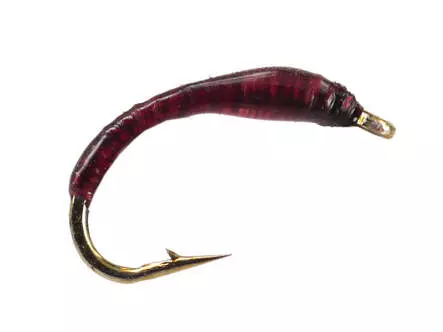 Dark Purple Buzzer