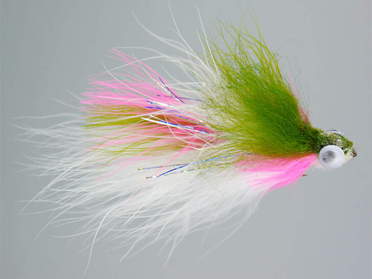 Articulated Rainbow Trout