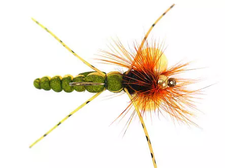 Ales Hopper Yellow/Olive SPI