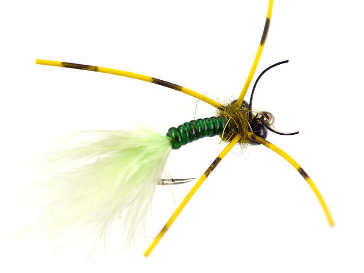 Slim Olive Barred Leg Dragonfly Nymph