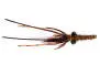 Ales Brown Carp Catcher