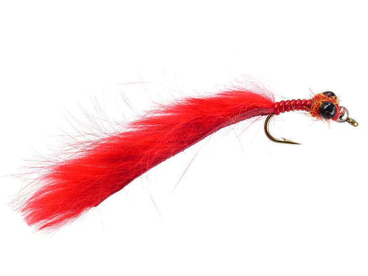Red Dragonflyworm