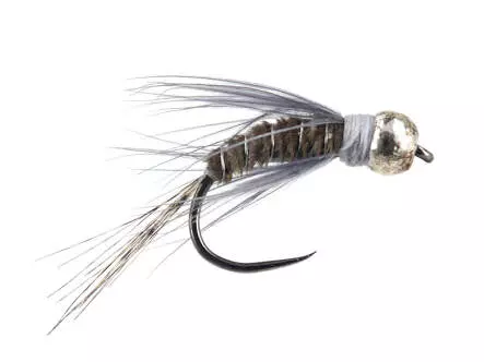 TG Blue Dun Nymph BL