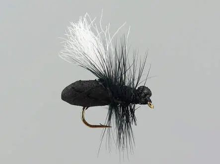 Black Ant Hf