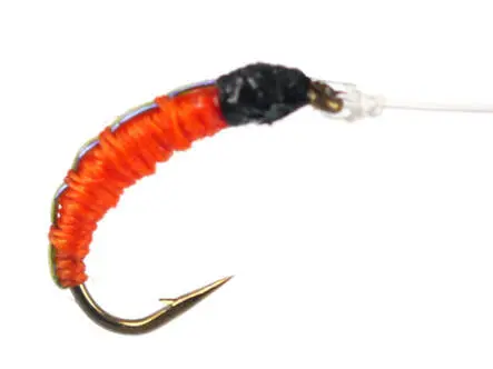 Pearl Back Chiro Orange