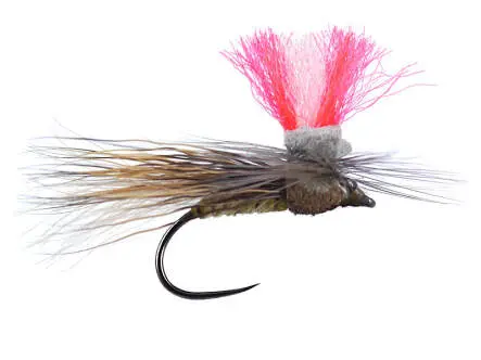 Austrian Natural Sedge BL