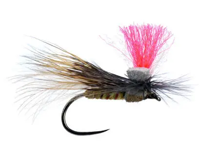 Tyrolean Natural Sedge BL