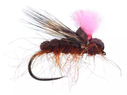 Ales High Viz Caddis Large Orange BL