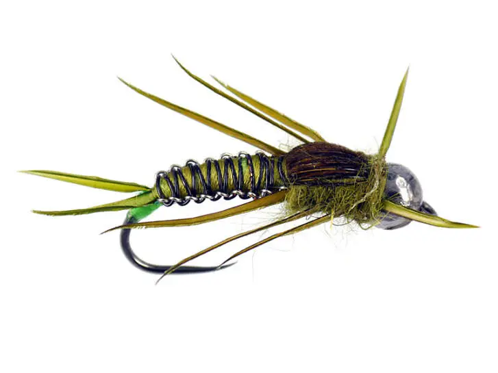 Black Olive Wowen Elite Stonefly Nymph TG BL