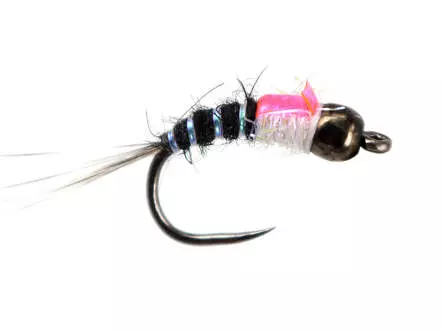 Innov BH Black Nymph BL White Pearl