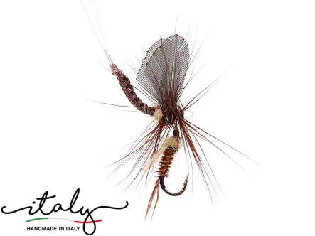 Rhitrogena & Emerger - 12 mm