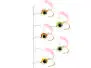Barsch Hegene BIG EYE CURL TAIL