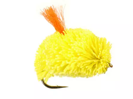 Yellow Bisquit
