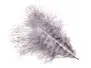 GRIZZLY MARABOU hotfly - 5 Stk. - ca. 13 cm - dun black...