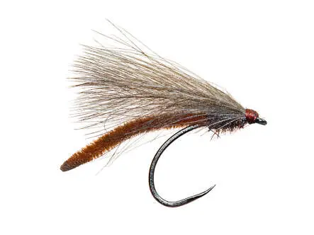 Allis Brown Last Solution BL