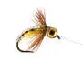 Yellow Grayling Star