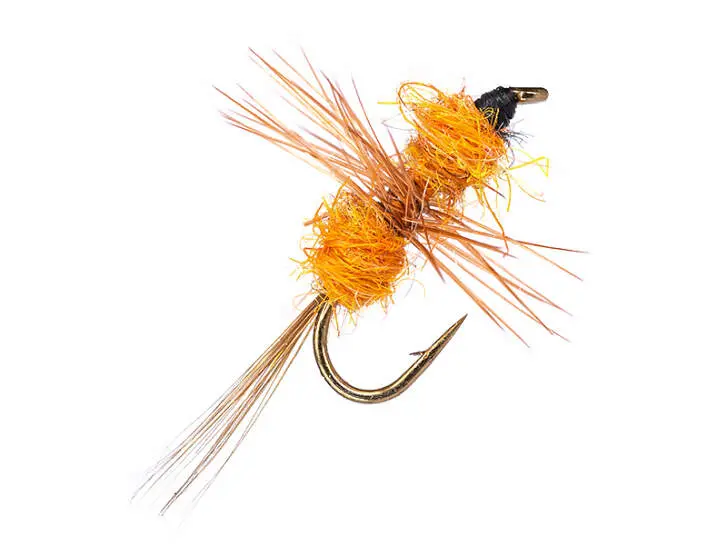 Orange Otter 16