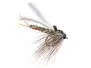 Allis Wide Gape Bi Dark Stonefly BL 8