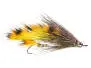 Intruder Warrior Orange Barred 6