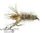 Tournament Peeping Caddis Weighted 8