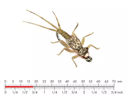 Tungsten Mayfly Nymph 3 Olive Brown