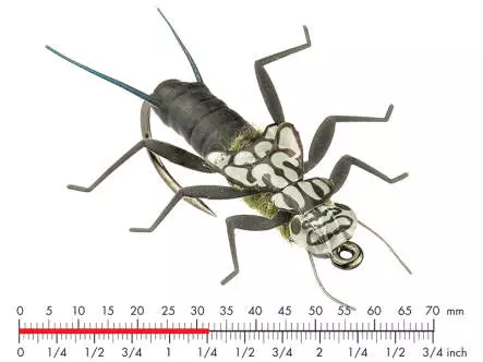 Tungsten Stonefly Nymph 1 Black