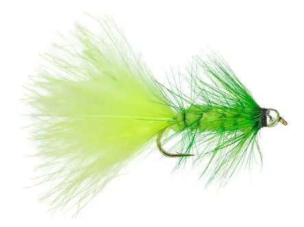 Fluo Chartreuse Wooly Bugger