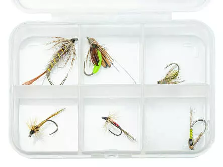 Fliegenset hotfly CLASSIC NYMPHS ESSENTIAL LTD - 6...