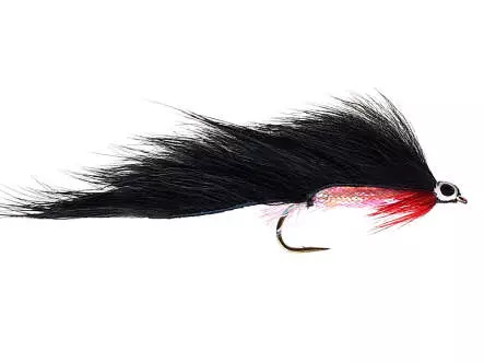 Black Zonker Red Throat
