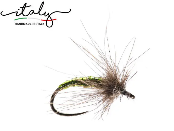 Olive Sedge CDC Pupa BL 8