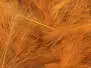 CDC Federn Cul de Canard SELECTED SMALL & DENSE hotfly - 1 g - rusty brown
