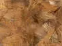 CDC Federn Cul de Canard SELECTED SMALL & DENSE hotfly - 1 g - brown