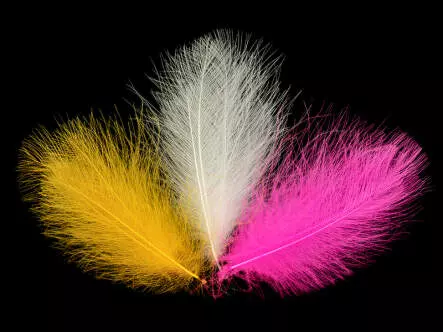 CDC Federn Cul de Canard EVO SELECTED hotfly - 1 g