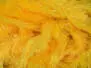 BLOB CHENILLE hotfly - 15 mm - 200 cm - sunburst