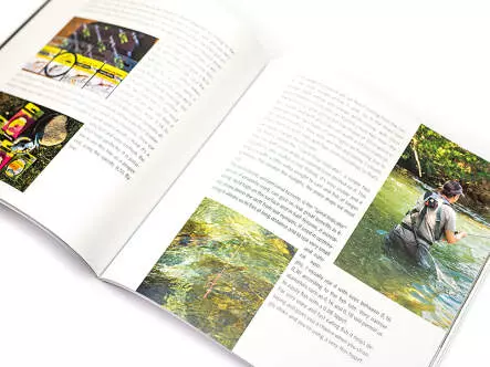 Die Geheimnisse des EURONYMPH - Sandro Soldarini