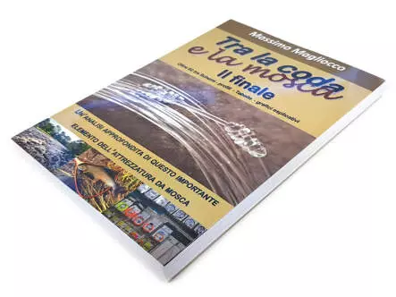 Tra la coda e la mosca - Massimo Magliocco