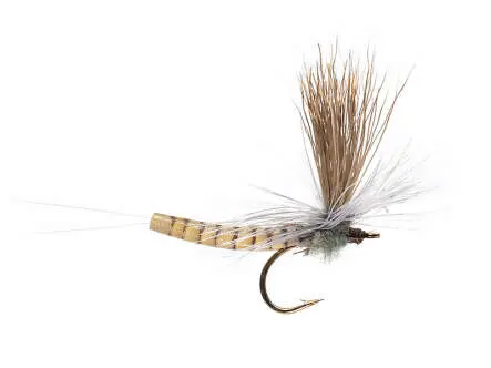 Elk Wing Mayfly Grey