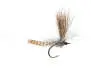 Elk Wing Mayfly Grey