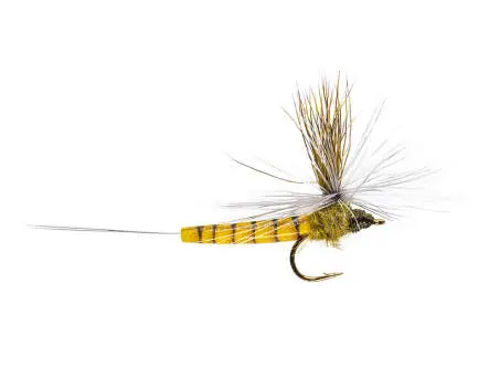 Elk Wing Mayfly Olive