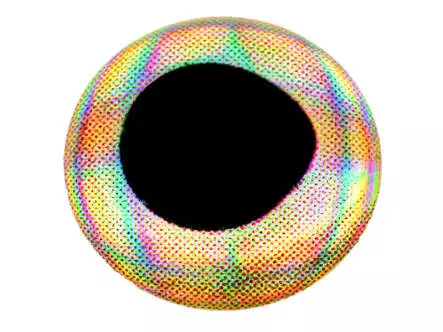 4D EYES X-REAL hotfly - 20 pc.