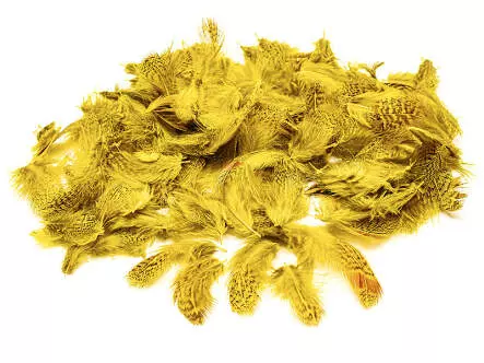 REBHUHN-FEDERN hotfly - 2 g - selected dyed yellow