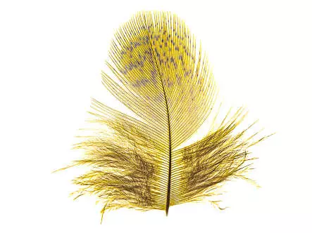 REBHUHN-FEDERN hotfly - 2 g - selected dyed yellow
